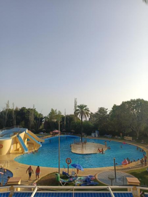 Midori Estudio Minerva Benalmadena